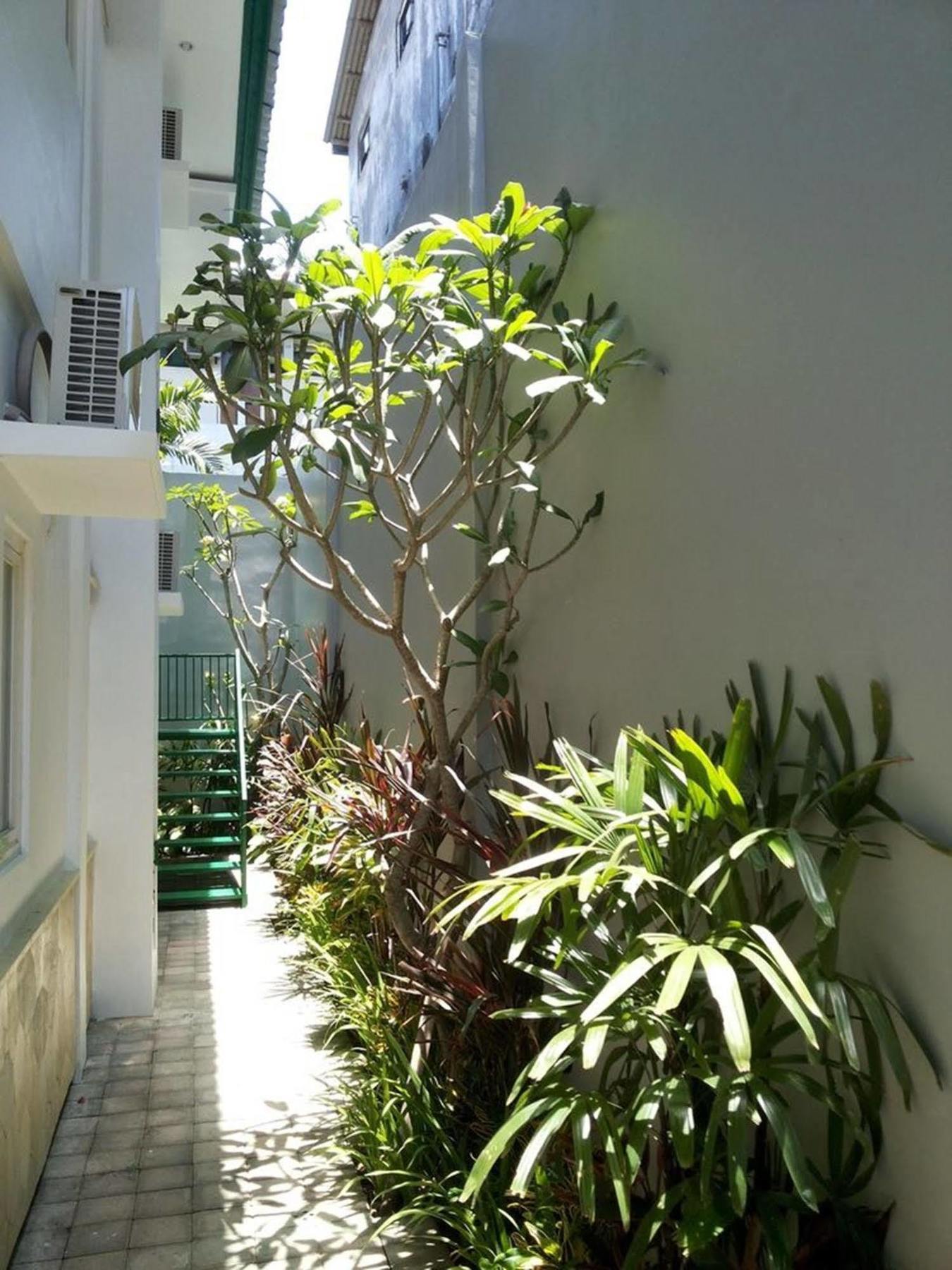 Ara Inn Bed And Breakfast By Ecommerceloka Kuta  Ngoại thất bức ảnh